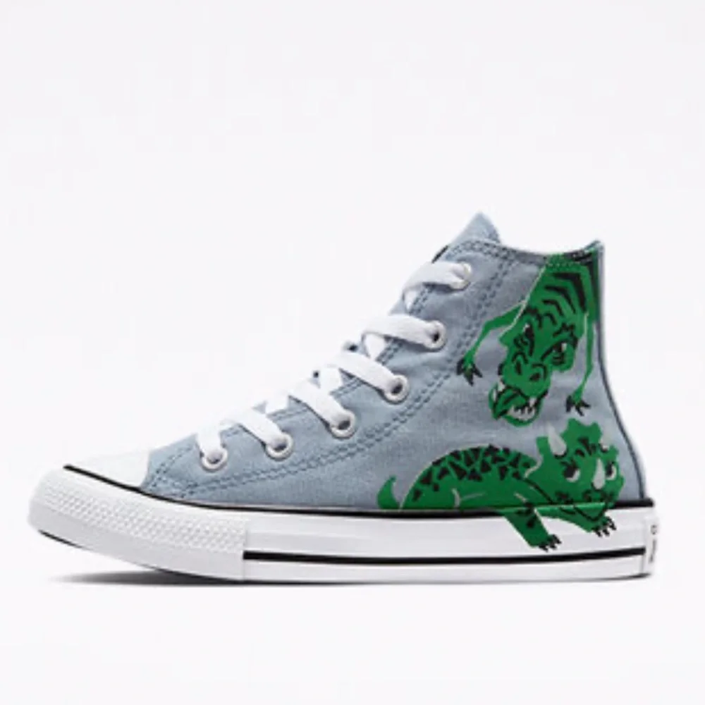 Converse Chuck Taylor All Star Dino Daze